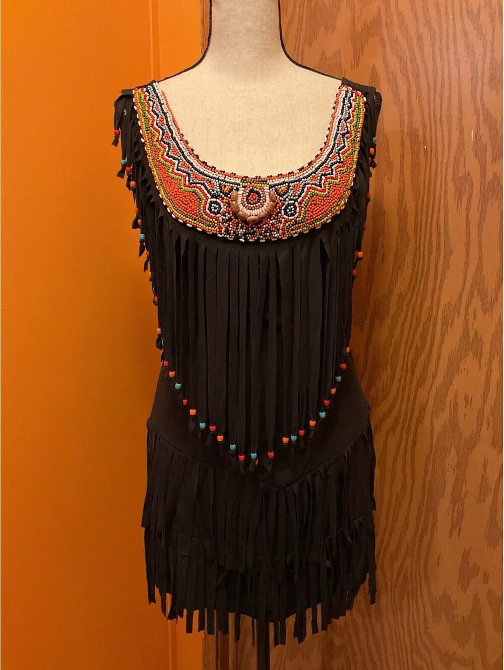 DreamGirl Native American Velvet Beaded Costume Mini Dress